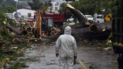 La tormenta tropical Otto, que se encamina a convertirse en huracán, ya dejó cuatro muertos en Panamá , mientras los gobiernos de Costa Rica y Nicaragua evacuan las áreas costeras del Caribe, según informes oficiales.