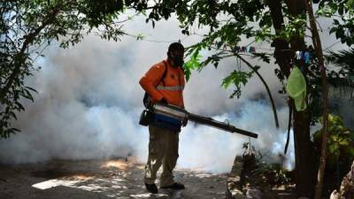 An employee of the Honduran Secretary of Health takes part in a fumigation operation to combat Aedes aegypti, vector of the dengue fever in Tegucigalpa on July 3, 2019. - Honduras declared national alert Wednesday for dengue fever, which left at least 44 dead this year, authorities announced. (Photo by ORLANDO SIERRA / AFP)