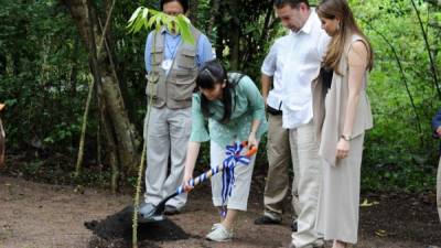 La princesa japonesa siembra un árbol de ceiba en el Parque Arqueológico Copán Ruinas. AFP.