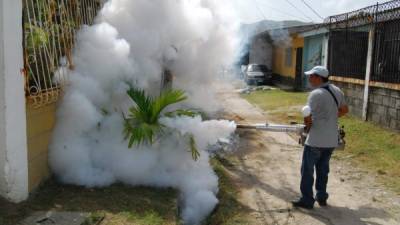 Arrecian operativos contra el dengue en San Pedro Sula
