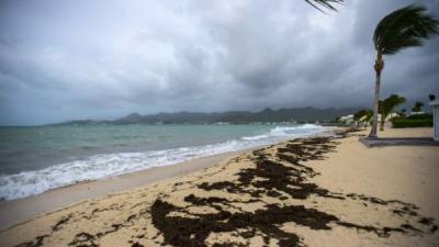 TOPSHOT - A picture taken on September 5, 2017 shows a view of the Baie Nettle beach in Marigot, with the wind blowing ahead of the arrival of Hurricane Irma.Ferocious Hurricane Irma bears down on the eastern Caribbean with strong winds and potential for huge storm surges, prompting people to pack into shelters, stock up on essentials and evacuate tourist areas as far north of Florida. / AFP PHOTO / Lionel CHAMOISEAU