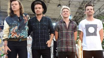 Harry Styles, Liam Payne, Niall Horan y Louis Tomlinson integran One Direction.