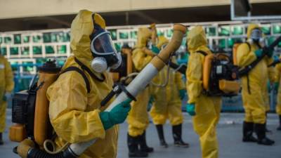 Las autoridades buscan erradicar los mosquitos. Foto: AFP/Christophe Simon