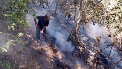 Un ciudadano intenta combatir uno de los incendios forestales que se desató en las últimas semanas.