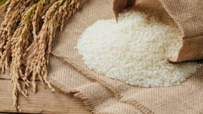 Tres proteínas del arroz transgénico puede combatir el VIH.