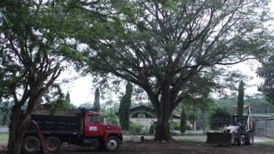 Proyecto. La construcción en Cofradía fue adjudicada en una segunda licitación.