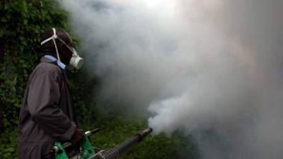 Salud desarrollará un plan para comenzar a fumigar comunidades. Foto: Esaú Ocampo.