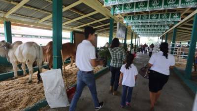 Ambiente en el Campo Agas por la celebración de la Feria Juniana en San Pedro Sula.