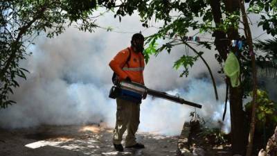 Foto de archivo de un empleado público fumigando una colonia de la capital.