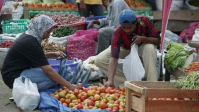 Según la FAO, en 2014 puede haber un impacto fuerte en la seguridad alimentaria.