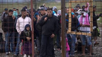 El éxodo de migrantes sirios continúa en el este europeo, donde miles piden asilo cada día. Foto: AFP