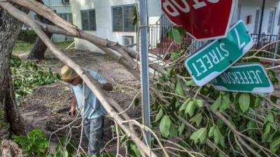 Un hombre camina bajo un árbol caído tras el paso del huracán Irma en Miami Beach, Florida (EE.UU.) EFE/Archivo