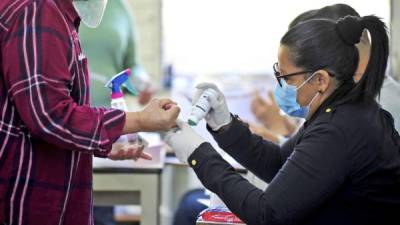 Los prelados llaman a los hondureños a elegir candidatos con conciencia y libertad.