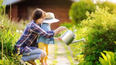 Beautiful women and her cute grandson watering plants in the garden at summer sunny day. Gardening activity with little kid and family