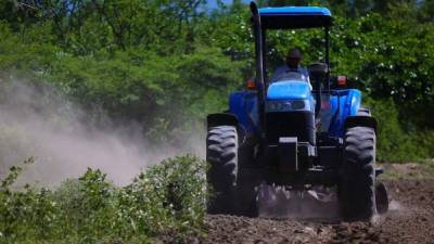 Un tractor prepara el terreno para la producción de granos básicos. Foto: Yoseph Amaya.