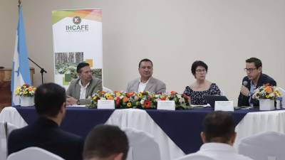Adilson Ávila, Pedro Mendoza, Vanusia Nogueira y René León durante la conferencia de prensa.