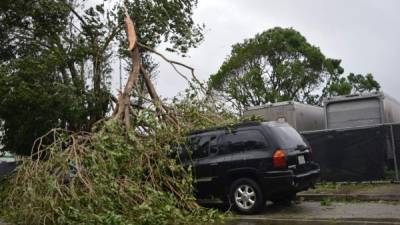 Vista de un árbol caído sobre un vehículo a las afueras del refugio Terra Enviromental Institute de Kendall hoy, domingo 10 de septiembre de 2017, luego del paso del huracán Irma por Miami, Florida (Estados Unidos). EFE/Jorge Ignacio Pérez