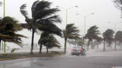 Las costas mexicanas han sido afectadas por varios huracanes en lo que va del 2015.