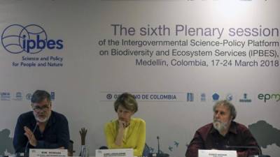 Al final de una reunión de una semana de duración de la IPBES, científicos advirtieron que la degradación de la tierra desencadenará una masa migración de al menos 50 millones de personas para 2050.