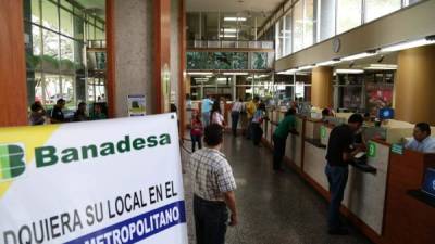Con los cambios, Banadesa dejará de financiar exclusivamente al sector agropecuario. Foto: Andro Rodríguez