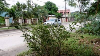 En San Pedro Sula, Calpules es de las zonas que más casos de dengue reporta.Foto: G.Sierra.