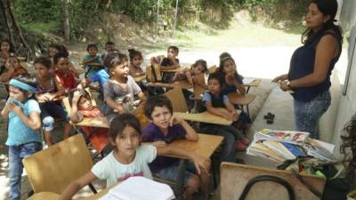 Los 25 niños de primer grado en la escuela Grace Honduras reciben clases debajo de un árbol.