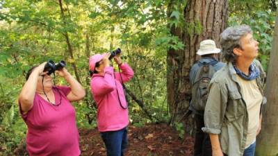 En Honduras turistas de Estados Unidos realizan aviturismo desde hace tiempo.