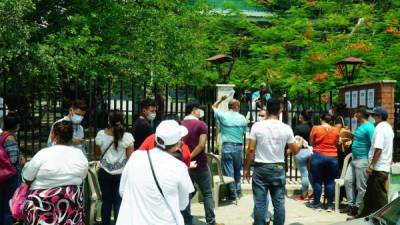 Ayer el flujo de personas afuera del RNP fue menor y más ordenado. Foto: Amílcar Izaguirre.