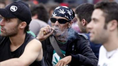 Activistas, consumidores y amigos de la causa por la legalización del cannabis en Uruguay exhibieron hoy con orgullo su primera marihuana 'liberada'.