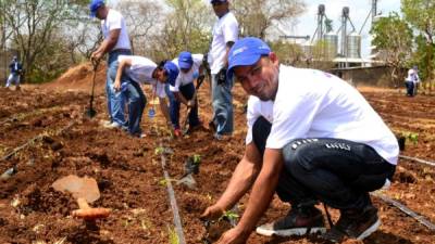 Foto de archivo que muestra parte de los proyectos con productores del sector agroindustrial en Honduras.