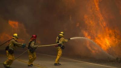 Los bomberos trabajan día y noche desde el pasado viernes para controlar las llamas que ya arrasaron con 8000 mil hectáreas.