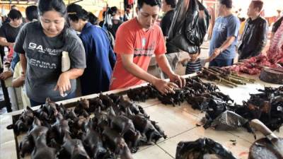 Aunque el gobierno de China prohibió 'completamente' el comercio y consumo de animales salvajes tras el surgimiento de la pandemia de coronavirus en un mercado de Wuhan, los comerciantes chinos han vuelto a sus viejas costumbres y han reanudado la venta de murciélagos, serpientes y otros animales salvajes tras la 'victoria' del país contra el letal virus.