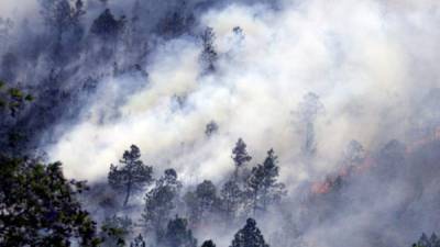 Un total de 71,850 hectáreas de bosques y pasto fueron destruidas en 1,162 incendios registrados en Honduras en 2019. Fotografía de archivo.