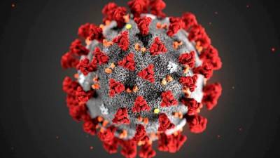 Las coinfecciones son reflejo de la alta circulación simultánea de diferentes linajes del virus en un espacio geográfico determinado.