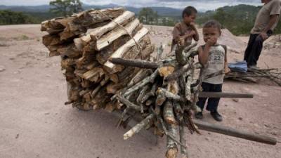 Una familia carga leña para cocinar sus alimentos en un fogón en Lepaterique al sur de Tegucigalpa, Honduras. EFE/Archivo