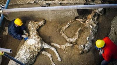 Un grupo de arqueólogos ha encontrado en Pompeya el vaciado de un caballo de pura raza, completamente enjaezado con ricas ornamentaciones de bronce, y que debió de pertenecer a un militar de alta graduación, informó hoy el Parque arqueológico de la histórica ciudad del sur de Italia. EFE
