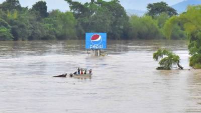Un grupo de hondureños recupera una canoa en el río Ulúa, en la ciudad de El Progreso, en el departamento de Yoro. EFE