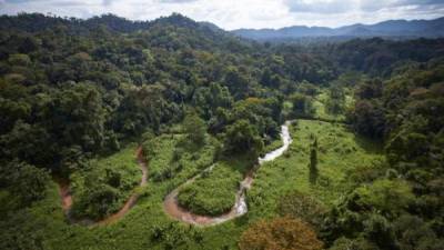 Vista panorámica de La Mosquitia en Honduras.