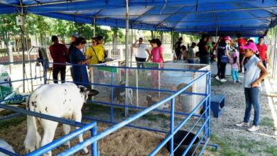 Desde muy temprano, los niños disfrutaron de la variedad de juegos destinados para agasajarlos.