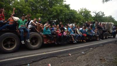 Cientos de migrantes hondureños aprovechan cualquier medio de transporte para avanzar en su viaje hacia la capital de Guatemala./AFP.