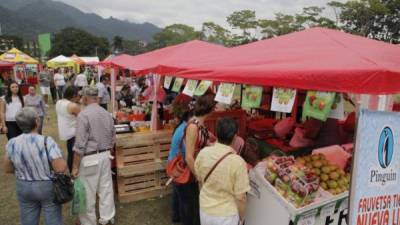 Variedad de productos se comercializarán en la actividad, que se desarrollará en los predios contiguo a la torre de Banpaís.