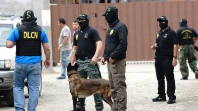 Numerosos agentes participaron en la operación, que incluyó unidades caninas.