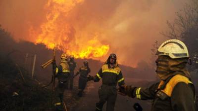 Los bomberos combaten los severos incendios forestales que azotan a Portugal.