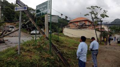 Foto: La Prensa