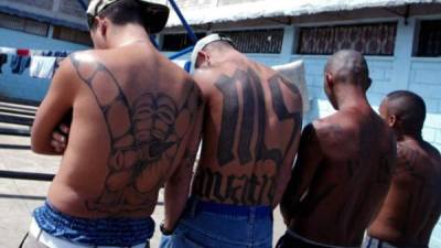 La MS-13 se hizo notoria en Los Ángeles en la década de 1980. Foto: AFP.