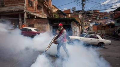 Los gobiernos de América Latina toman medidas para evitar la propagación del virus del zika.