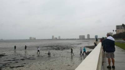 Los residentes de Tampa fueron sorprendidos por la 'desaparición' del mar en la bahía apenas unas horas antes de la llegada del poderoso huracán Irma. El extraño fenómeno es causado por la fuerza del ciclón y la baja presión que succiona el agua hacia el centro de la tormenta.