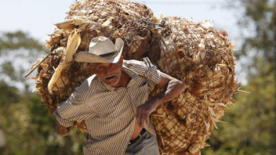 En Honduras hay casi 700 mil hondureños de 60 o más años.