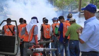 Personal de la alcaldía inició los operativos de esta semana en la avenida Júnior y barrio Guadalupe.