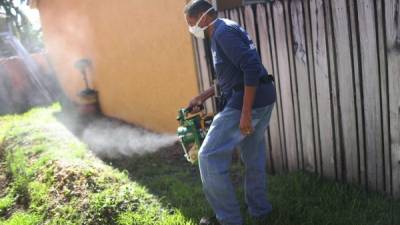 A medida que las temperaturas aumentan, crecen las posibilidades de la propagacion del zika en Florida. Foto: AFP/Joe Raedle